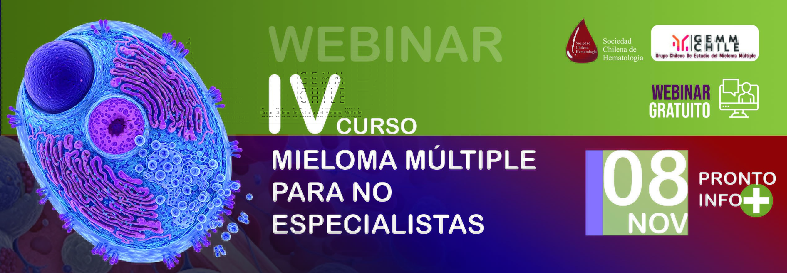 Miniatura video